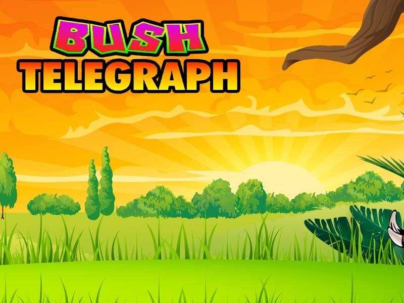 Bush Telegraph Slot