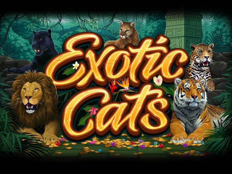 Exotic Cats Slot