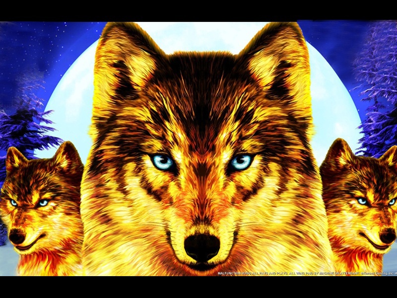Golden Wolves Slot