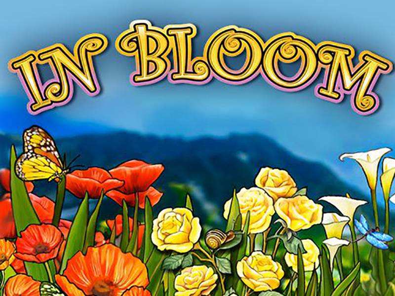 In Bloom Slot
