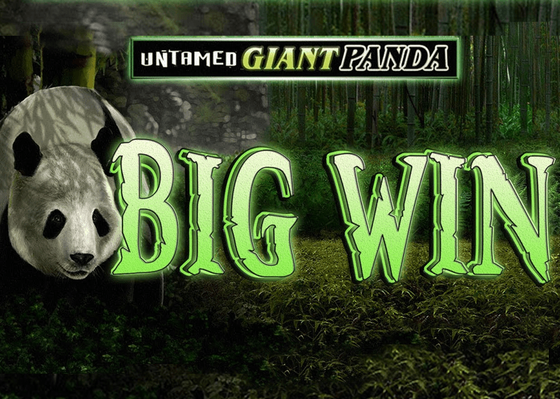 Untamed Giant Panda Slot
